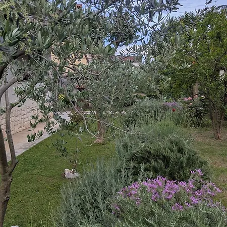 Gianna Apartamento